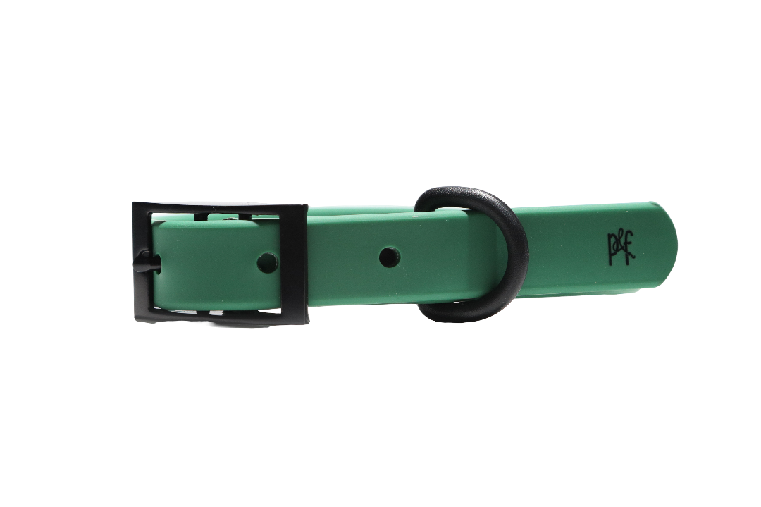 Signature Collection Weatherproof Collar - Forest