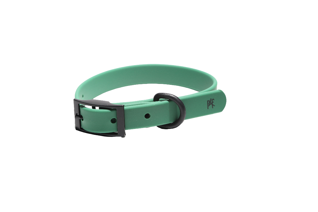 Signature Collection Weatherproof Collar - Forest