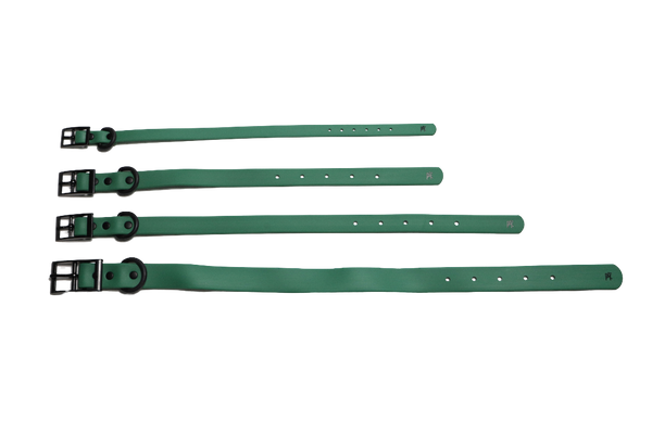 Signature Collection Weatherproof Collar - Forest – Pepper & Friends